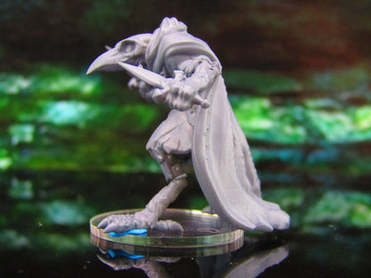 Corvian Skeletal Raven Crow Birdman Daggers A Mini Miniature Model Character