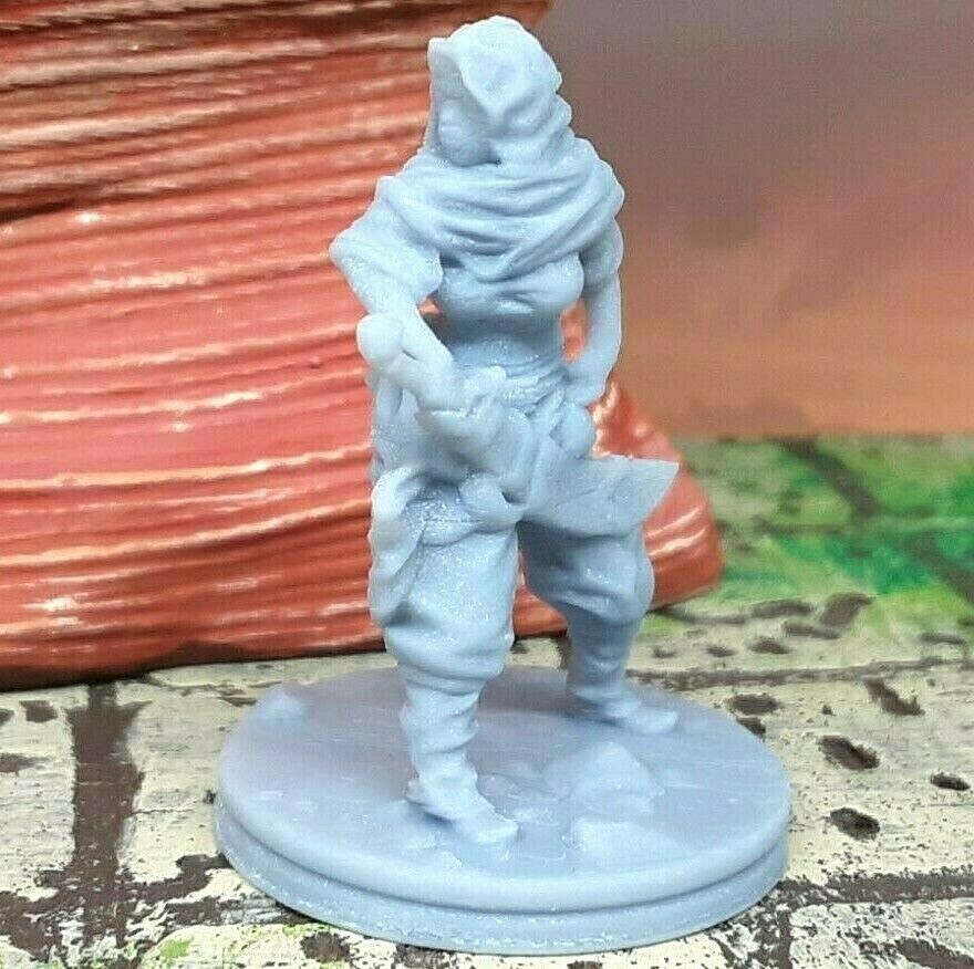 Female Rogue Hero Desert Themed Mini Miniature Figure Tabletop D&D 3D Resin