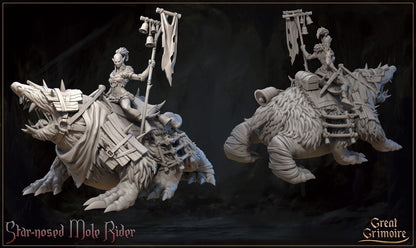 Keir Female Mole Rider W/ Mole Mini Miniature Model RPG Tabletop Gaming D&D