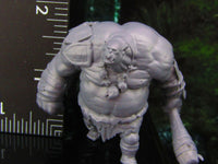 
              Large Ogre Mauler Monster W/ Club Mini Miniature Model Character Figure
            