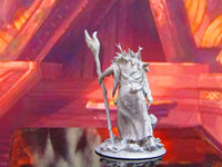 
              Mysterious Druid Shaman Hermit Mini Miniature Model Character Figure
            