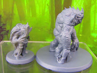 
              Slaad Pair Mini Miniatures 3D Printed Resin Model Figure 28/32mm Scale RPG
            