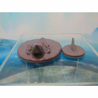 
              Shark Swimming + Surfacing Mini Miniature Scatter Terrain Scenery 3D Printed Mod
            
