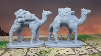
              Pair of Camels Pack and Ride Mini Miniature 28mm Figure for RPG Fantasy Games Dungeons & Dragons 3D Printed Resin Empire of Scorching Sands
            