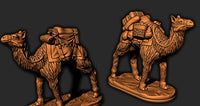 
              Travelling Merchant Trader and Pack Camel Pair Mini Miniatures Figure for RPG Fantasy Games Dungeons & Dragons 3D Printed Resin
            