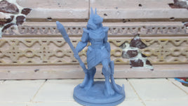 Anubis Warrior w/ Poleaxe & Khopesh Mini Miniatures Figure Tabletop Fantasy Games Dungeons Dragons 3D Printed Resin Empire Scorching Sand