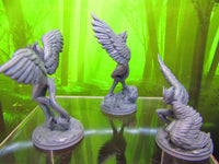 
              Lot of 3 Harpies Harpy Bird Monsters Mini Miniature Figure 3D Printed Model 28/32mm Scale Fantasy RPG Tabletop Gaming Dungeons & Dragons
            