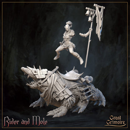 Mole Rider Pair W/ Mole Mini Miniature Model Character Figure 28mm/32mm Scale RPG Tabletop Gaming Wargaming D&D Fantasy